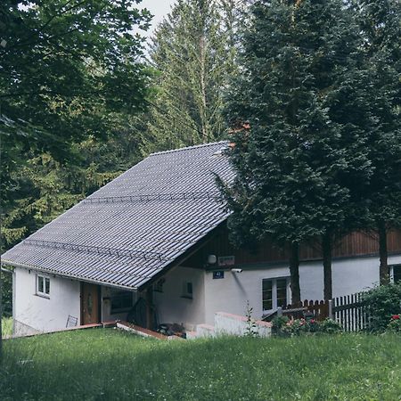 Апартаменты Chopina 43 Карпач Экстерьер фото